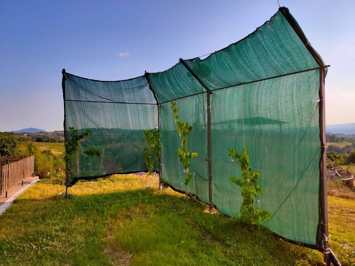 Apartament Giardino Casa Selciata Calvi dellʼ Umbria Zewnętrze zdjęcie