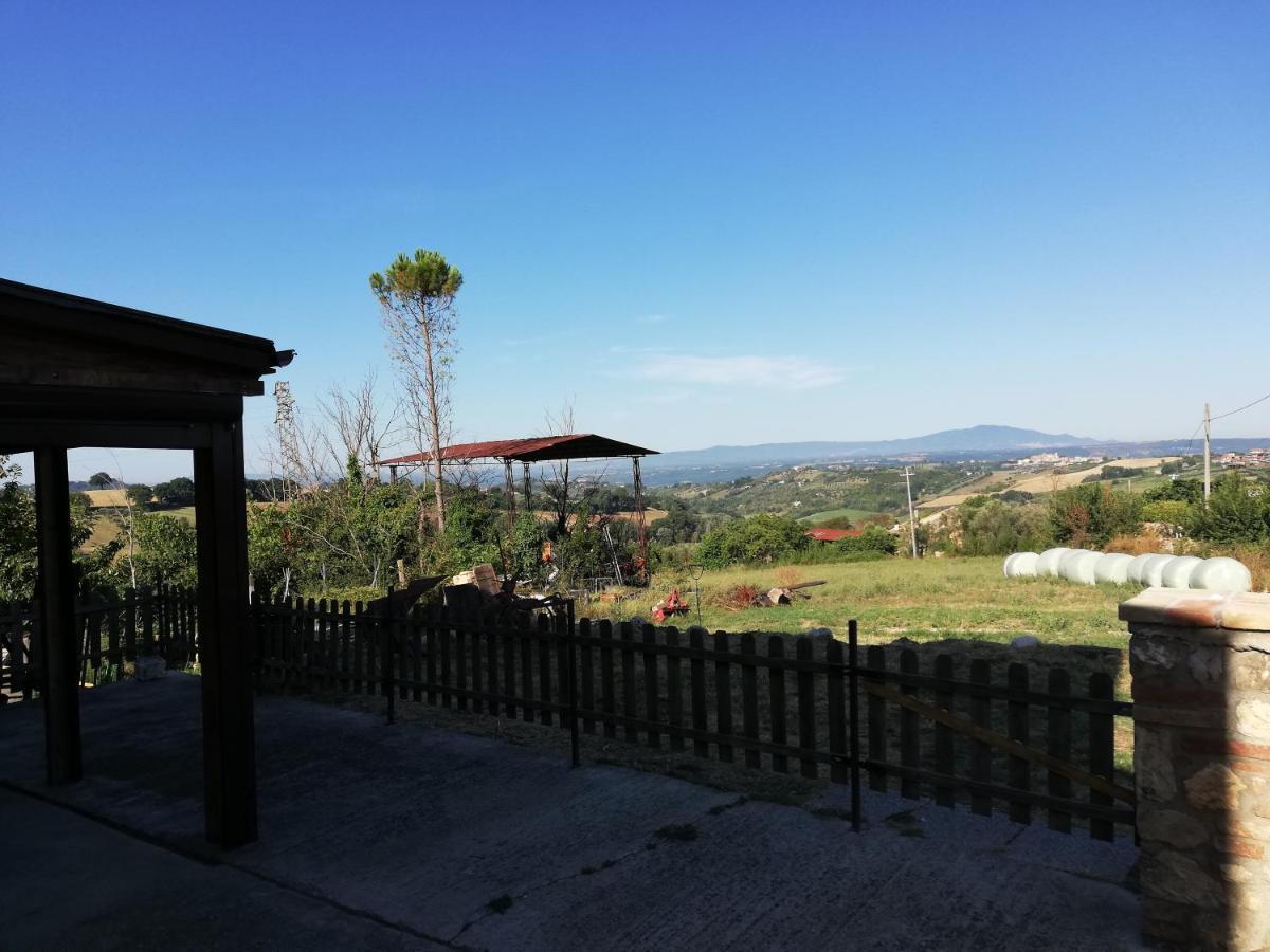 Apartament Giardino Casa Selciata Calvi dellʼ Umbria Zewnętrze zdjęcie